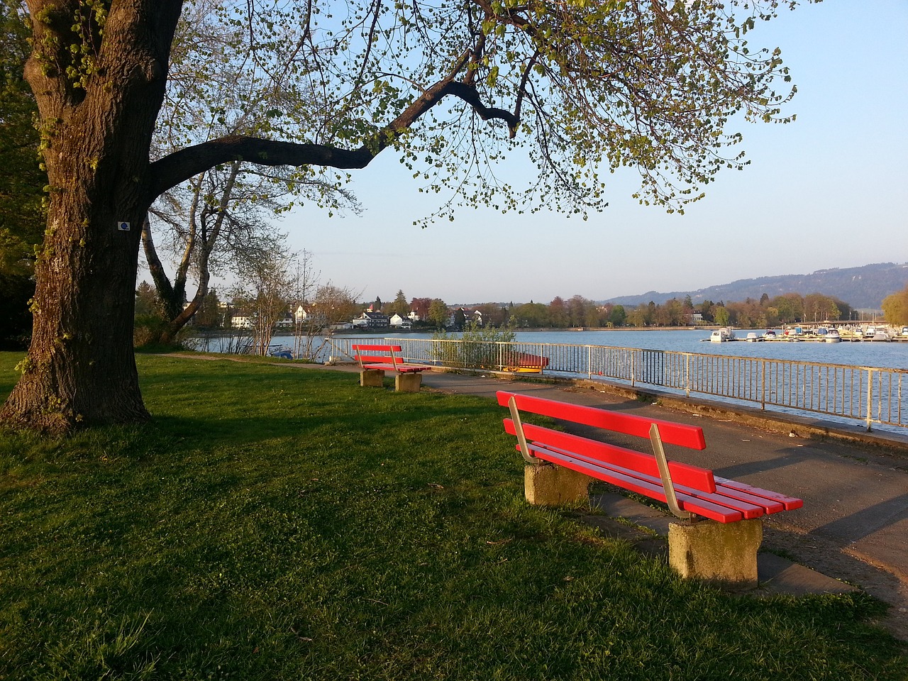 探讨篮球作 探讨篮球作