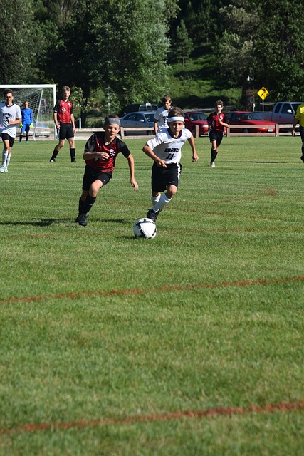 中收获了一 中收获了一