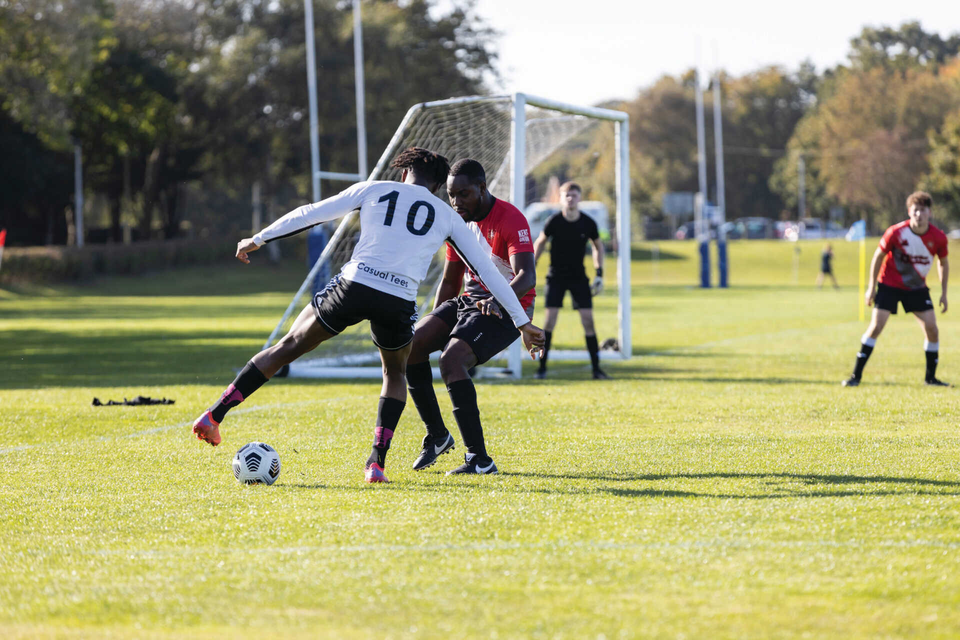 网的组建和 网的组建和