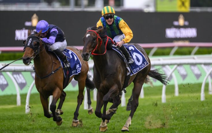 最终以大比 最终以大比